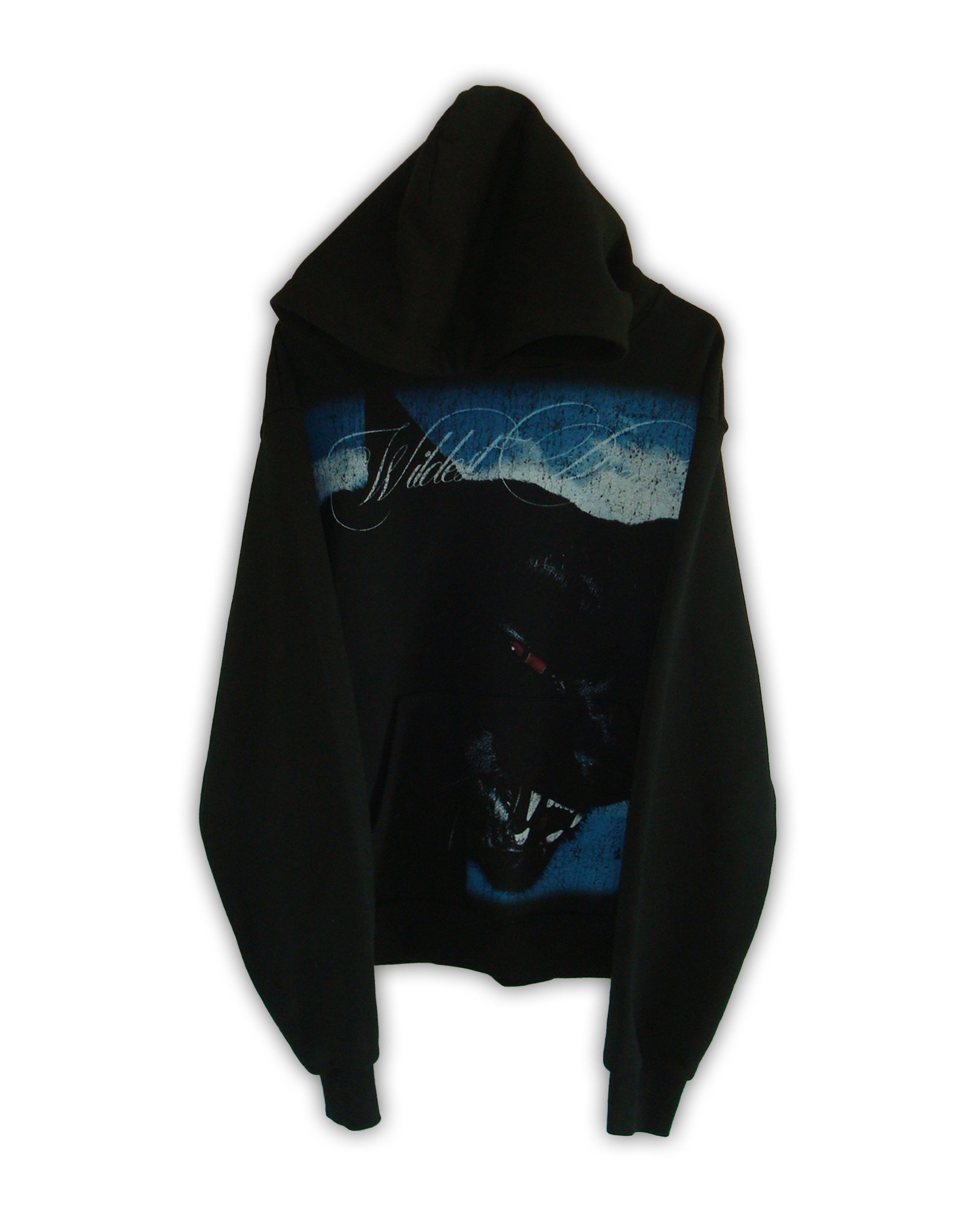 cat hoodie